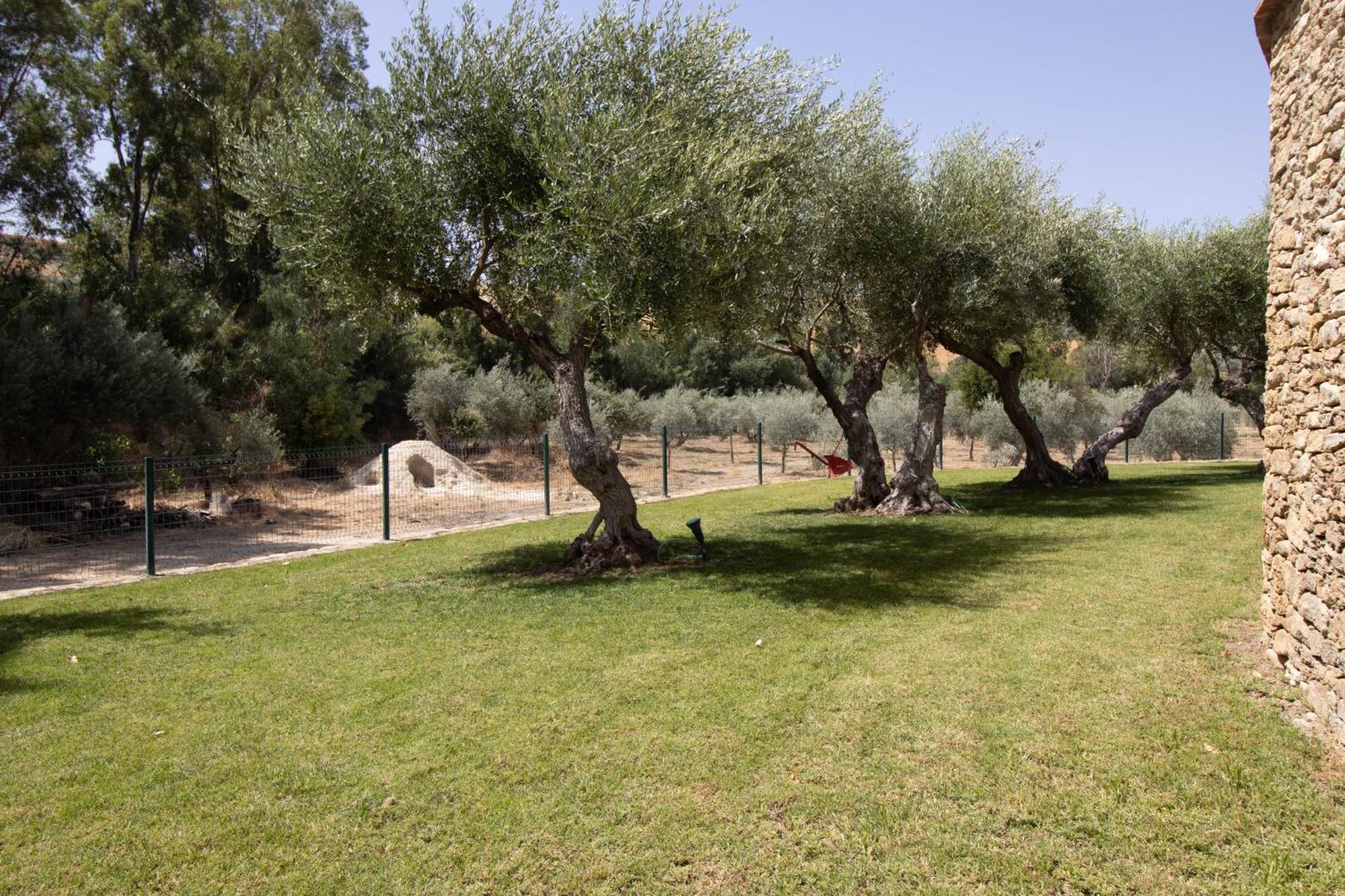 Cortijo San Antonio De Trejo Villa Setenil De Las Bodegas Luaran gambar